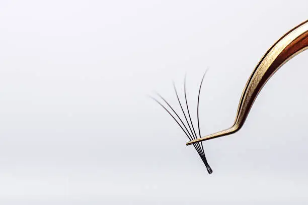 individual lashes